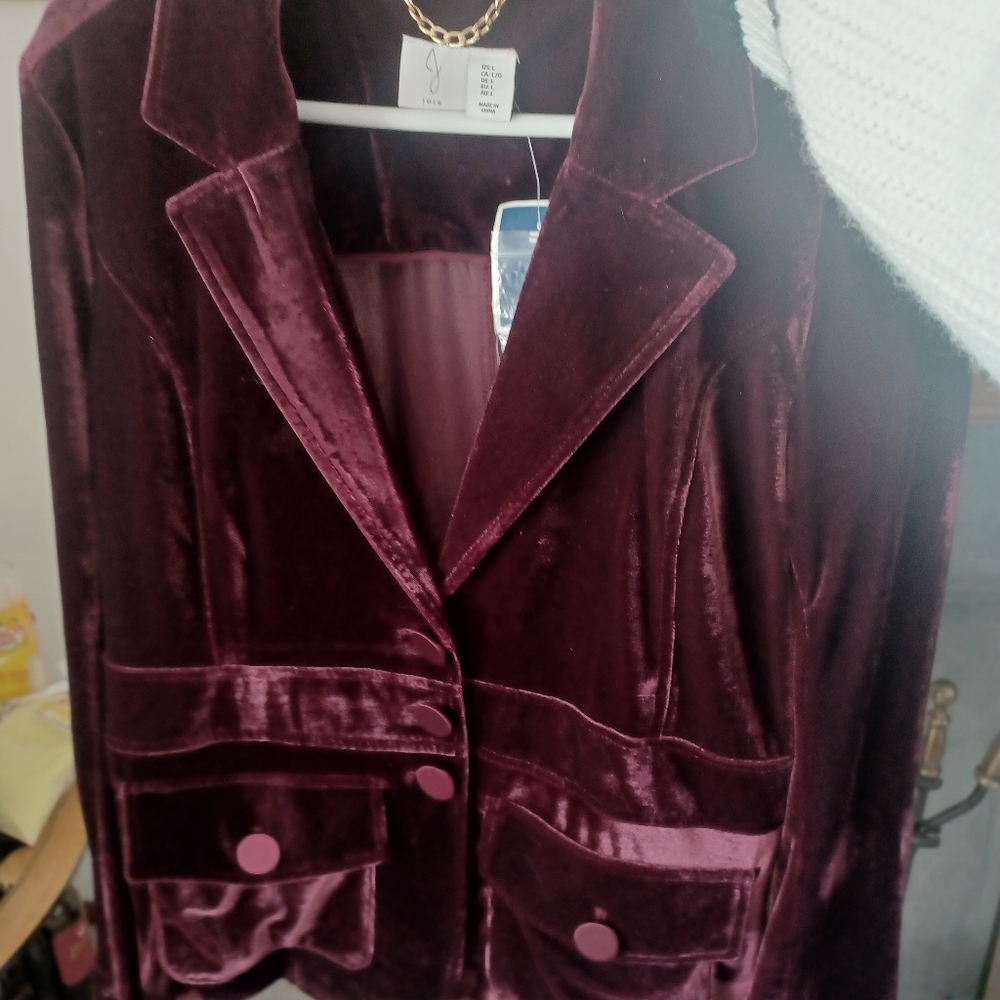 Joie Velvet Burgundy Blazer - Picture 6 of 7